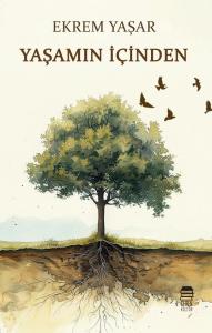Yaşamın İçinden