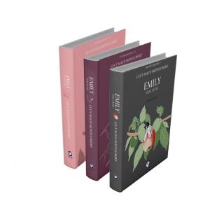 Rüzgârın Kızı Emily Serisi