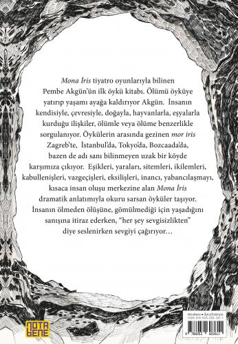 yayincilarkooperatifi.com