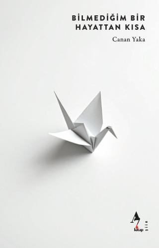 Bilmediğin  Bir Hayattan Kısa