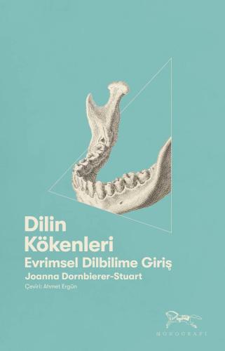 Dilin Kökenleri