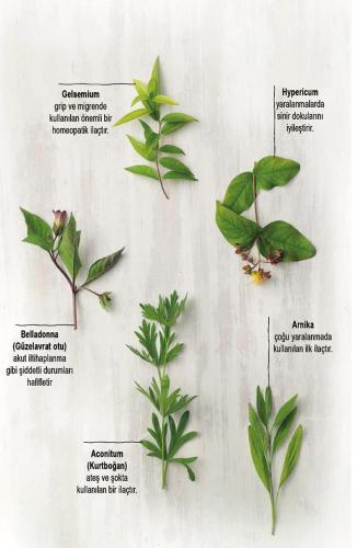 yayincilarkooperatifi.com