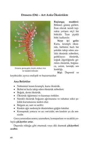 yayincilarkooperatifi.com