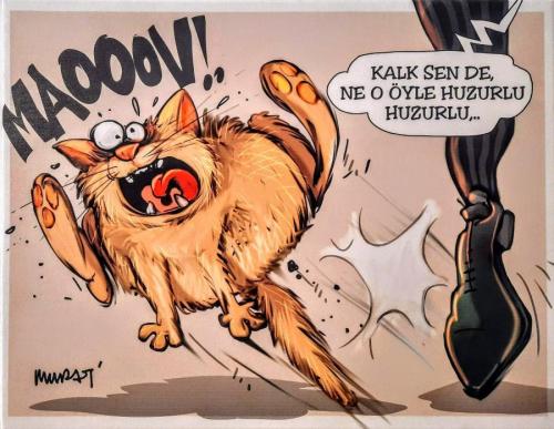 Karikatür Mu. Sa.