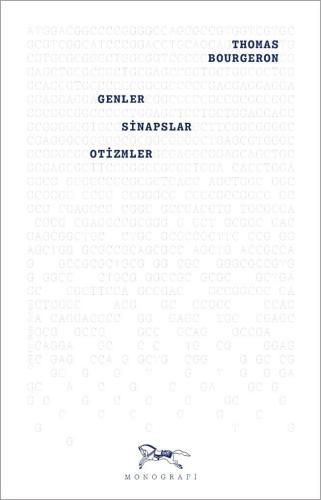 Genler, Sinapslar, Otizmler