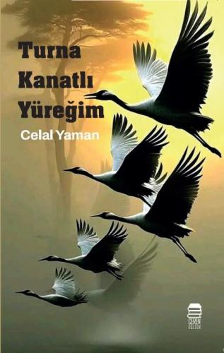 yayincilarkooperatifi.com